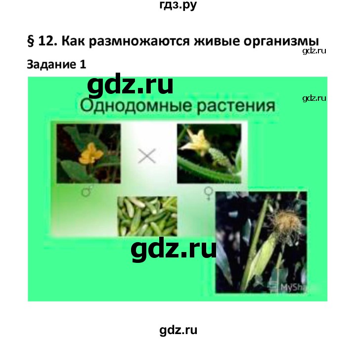 ГДЗ по биологии 5‐6 класс Сухова рабочая тетрадь  параграф - 12, Решебник №1
